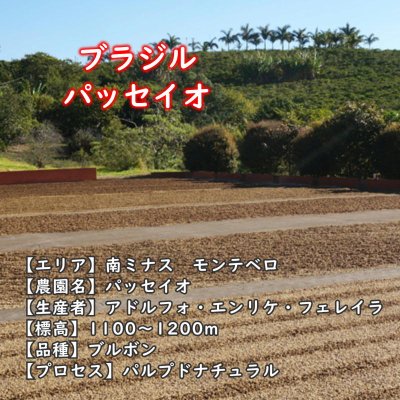 画像2: ブラジル・パッセイオ農園　中煎り　(500g)