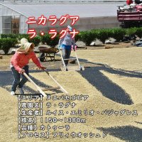 ニカラグア・ラ・ラグナ農園　中煎り　(100g)