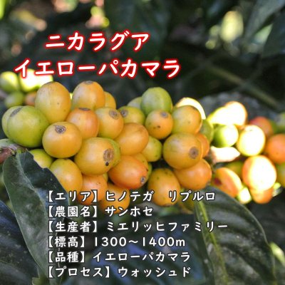 画像2: スペシャルティコーヒーセット(200g×4種類)